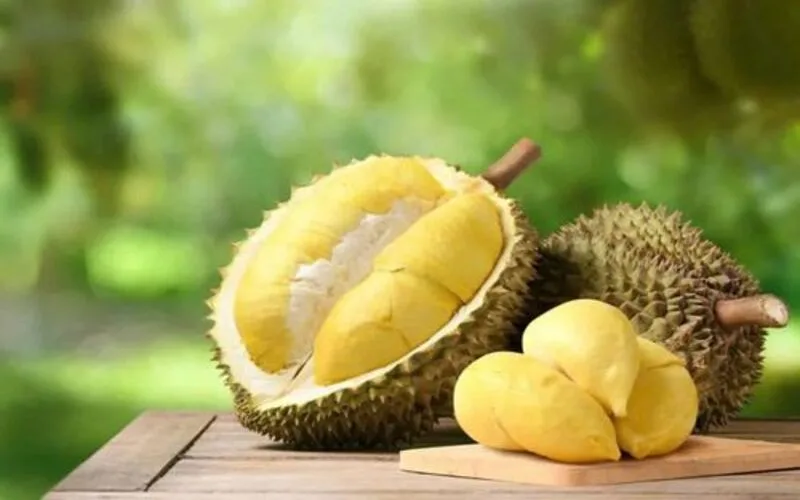 trong cay gi thu tien ty nhung mo hinh nong nghiep tao doanh thu khung