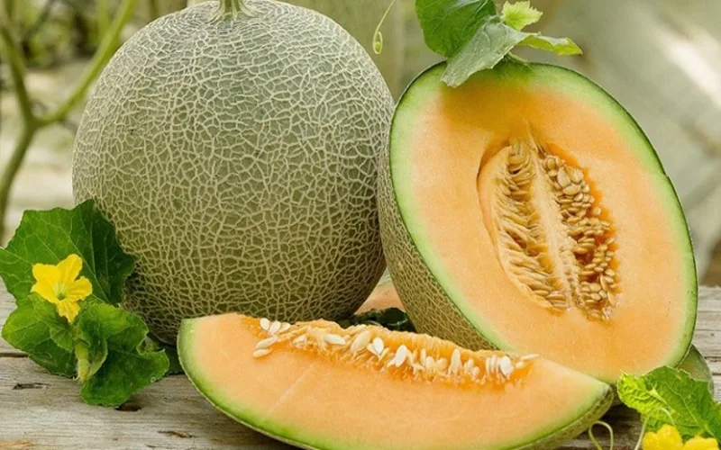 trong cay gi thu tien ty nhung mo hinh nong nghiep tao doanh thu khung