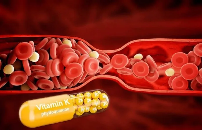 Vitamin K cung cấp dưỡng chất cần thiết cho quá trình đông máu bình thường, chuyển hóa xương và hoạt động của nhiều protein phụ thuộc vitamin K.